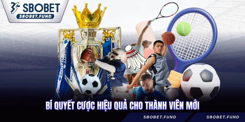 Bí quyết cược hiệu quả cho thành viên mới