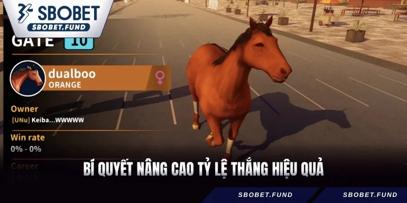 Bí quyết nâng cao tỷ lệ thắng hiệu quả