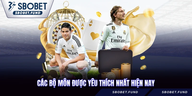 Các bộ môn được yêu thích nhất hiện nay