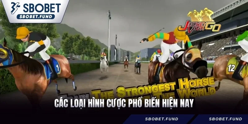 Các loại hình cược phổ biến hiện nay