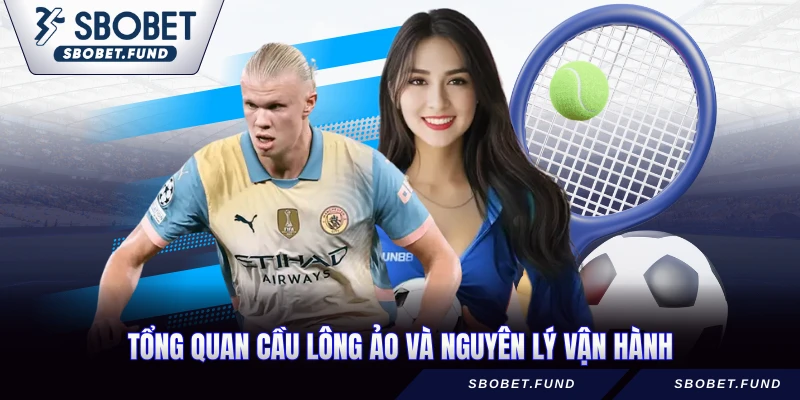 Tổng quan cầu lông ảo và nguyên lý vận hành