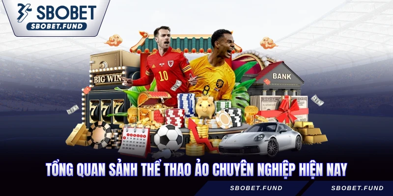 Tổng quan sảnh thể thao ảo chuyên nghiệp hiện nay