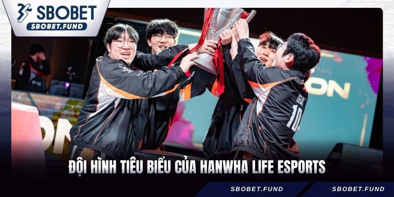 Đội hình tiêu biểu của Hanwha Life Esports