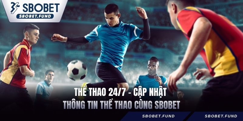 Thể Thao 24/7 - Cập Nhật Thông Tin Thể Thao Cùng SBOBET