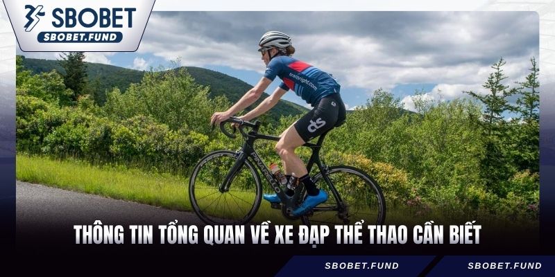 Thông tin tổng quan về xe đạp thể thao cần biết